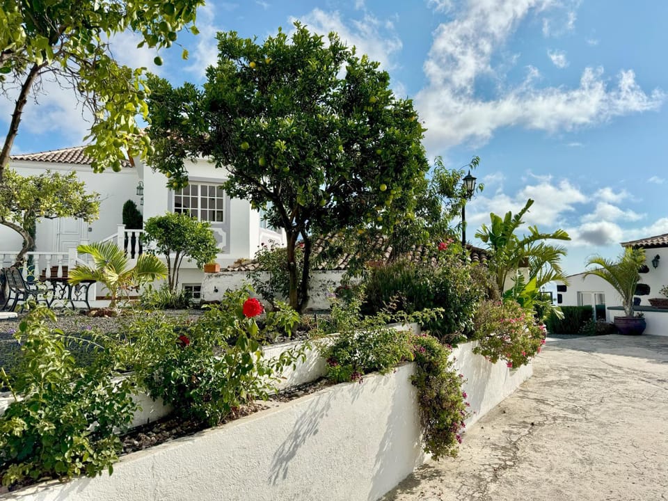 Property building, Patio, Day, Garden, Garden view