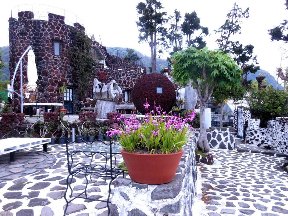 Garden, Garden, Balcony/Terrace