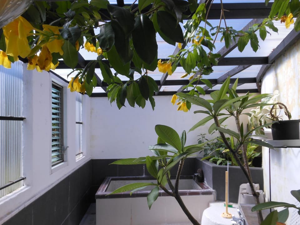 Spa and wellness centre/facilities, Spa and wellness centre/facilities