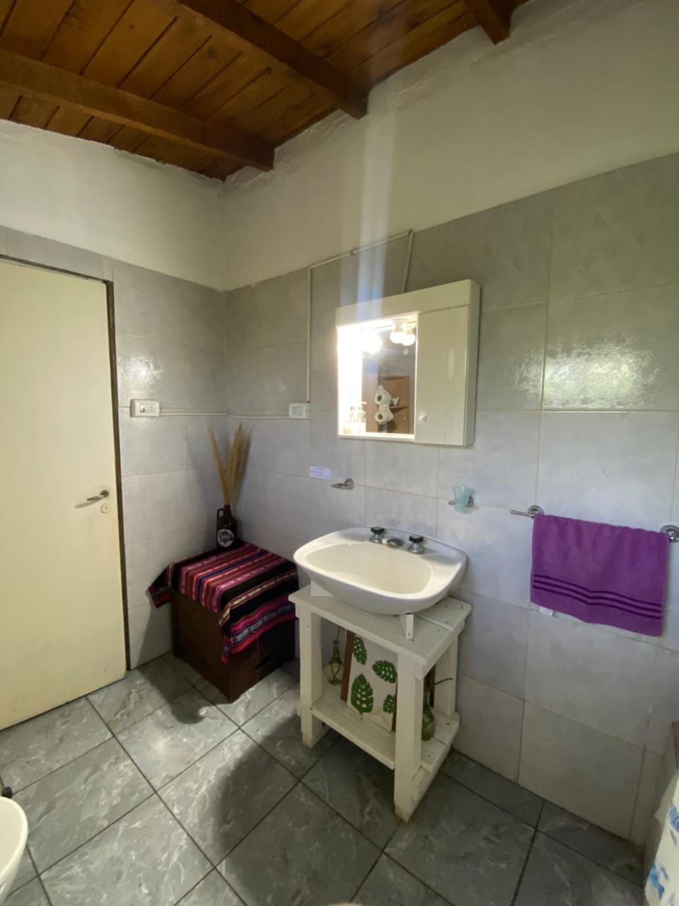 Evergreen House in Buenos Aires Province