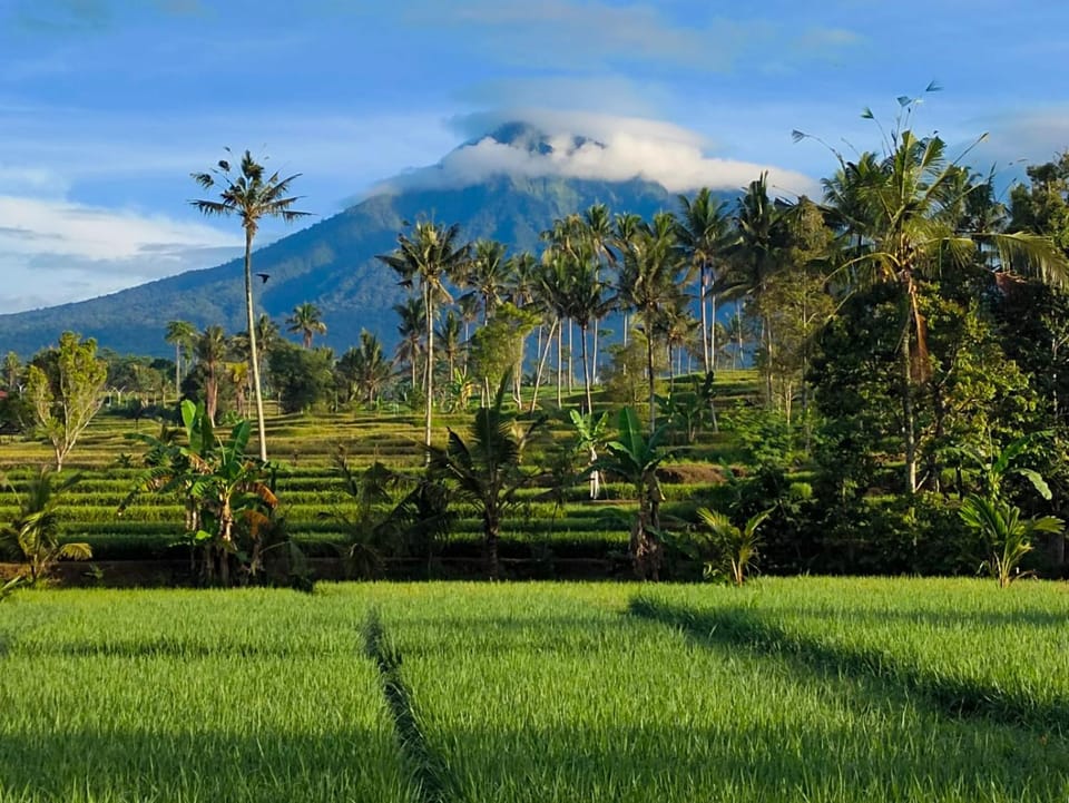 Sawah Ijen Hotel in East Java
