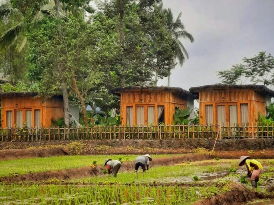 Sawah Ijen Hotel in East Java