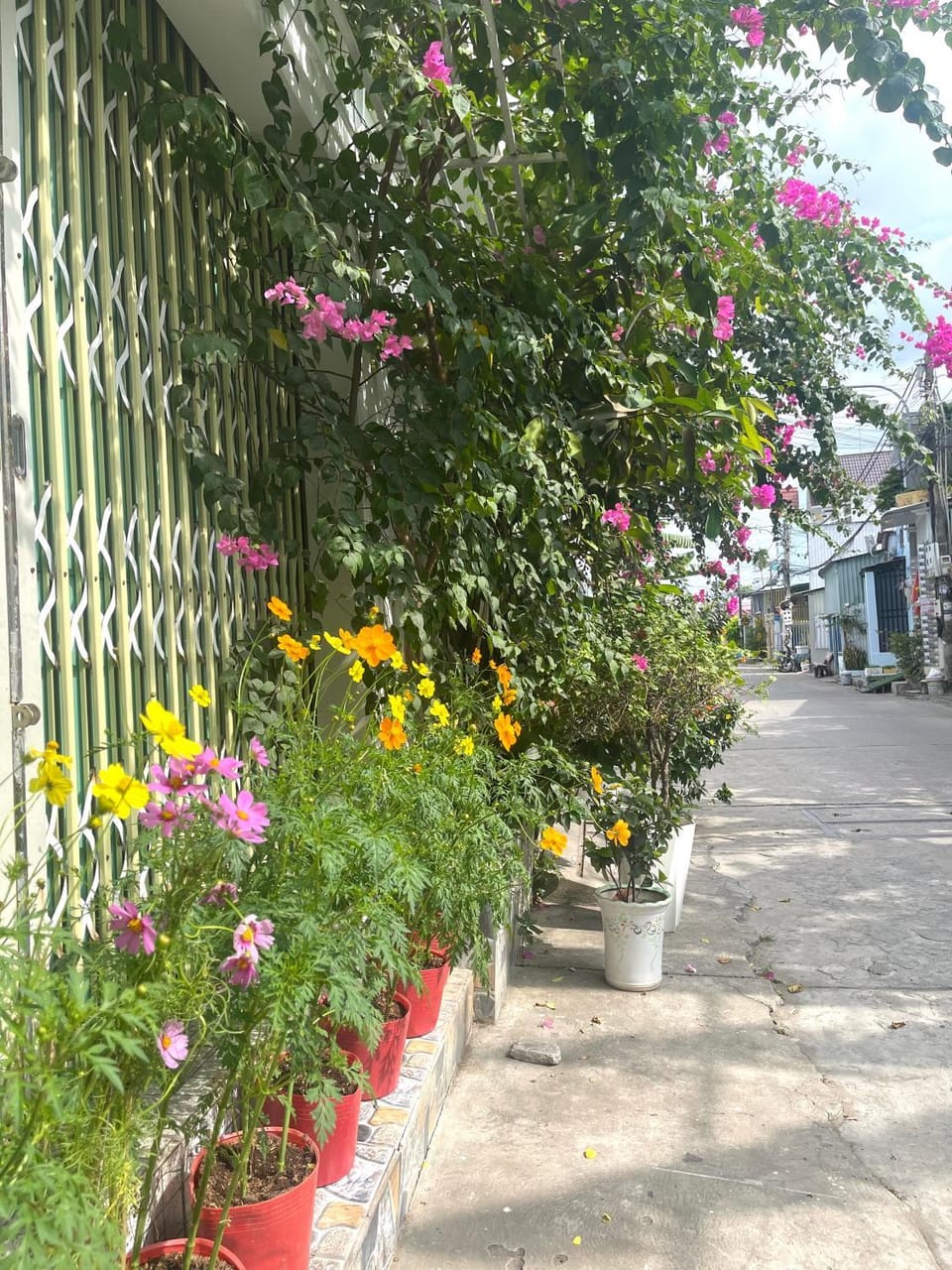 Như Ngọc Motel Hotel in Vietnam