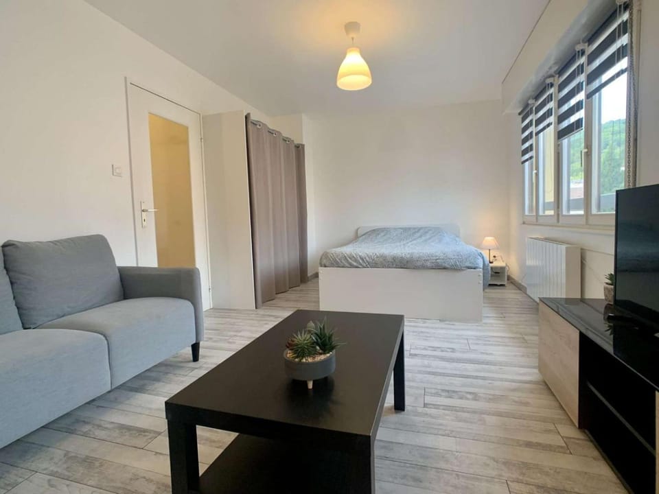 Communal lounge/ TV room, Bedroom