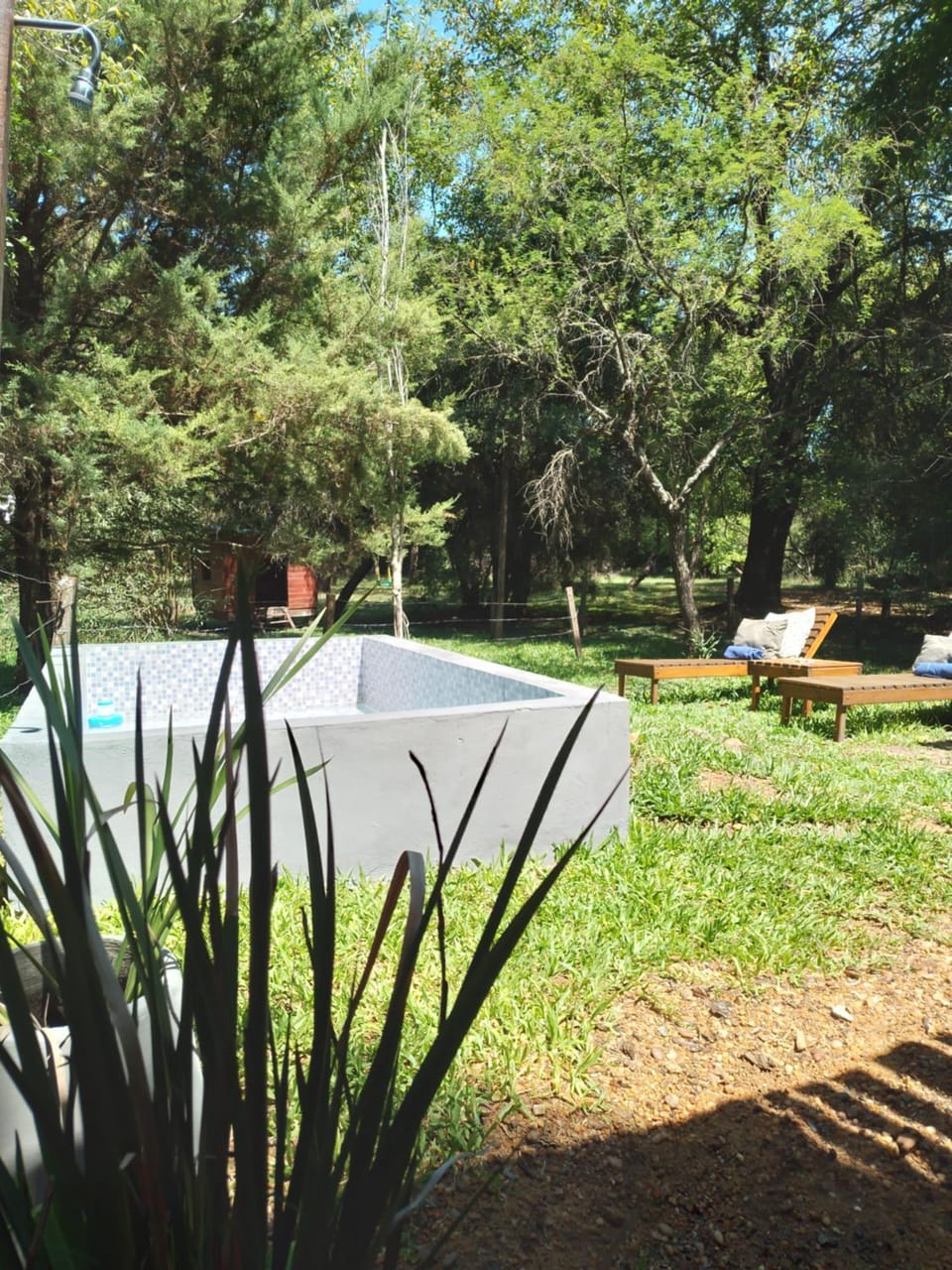 Garden, Garden view, Swimming pool
