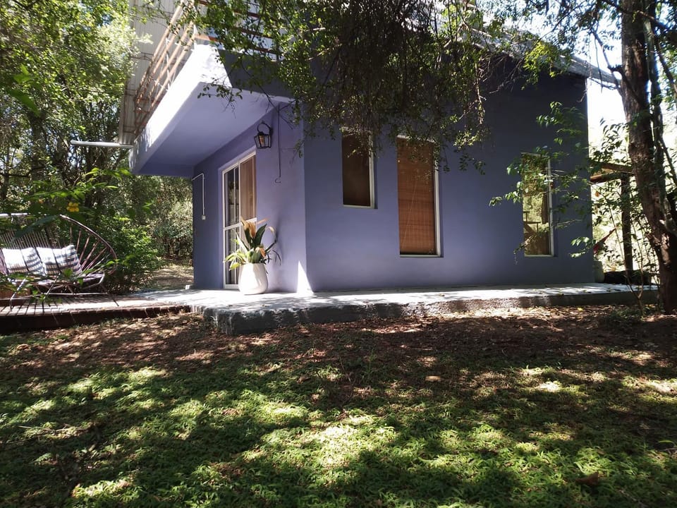 Property building, Garden, Garden view