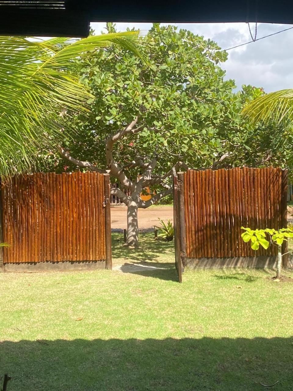 Garden view