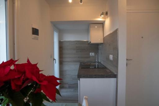 Kitchen or kitchenette, kitchen