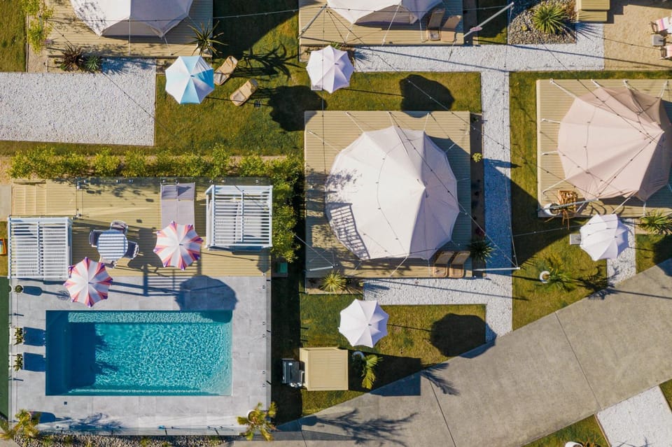 Pets, Swimming pool