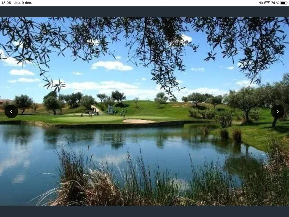 Golfcourse
