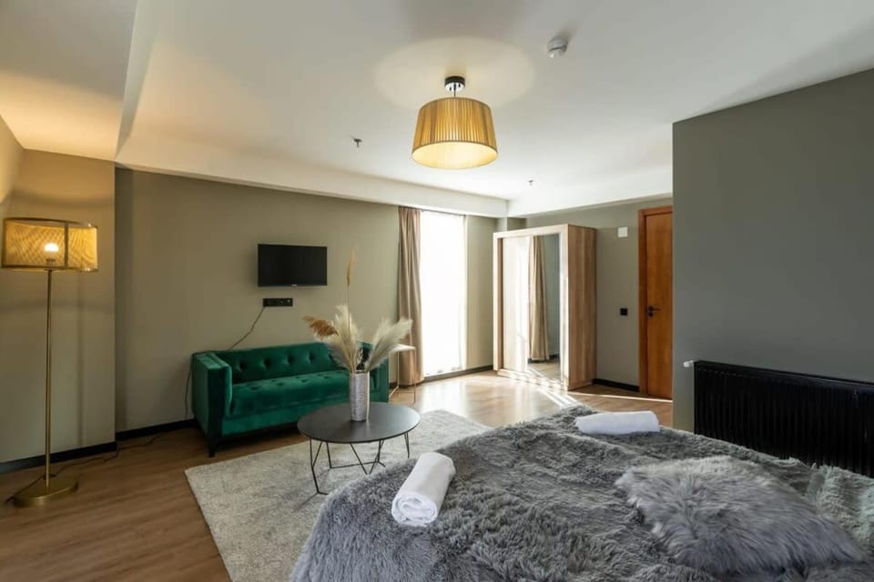 Super Stylish and cozy 2 bedroom 4or6 people Apartment in key location in Marshall Gudauri Project Ski Resort Apartment in Georgia