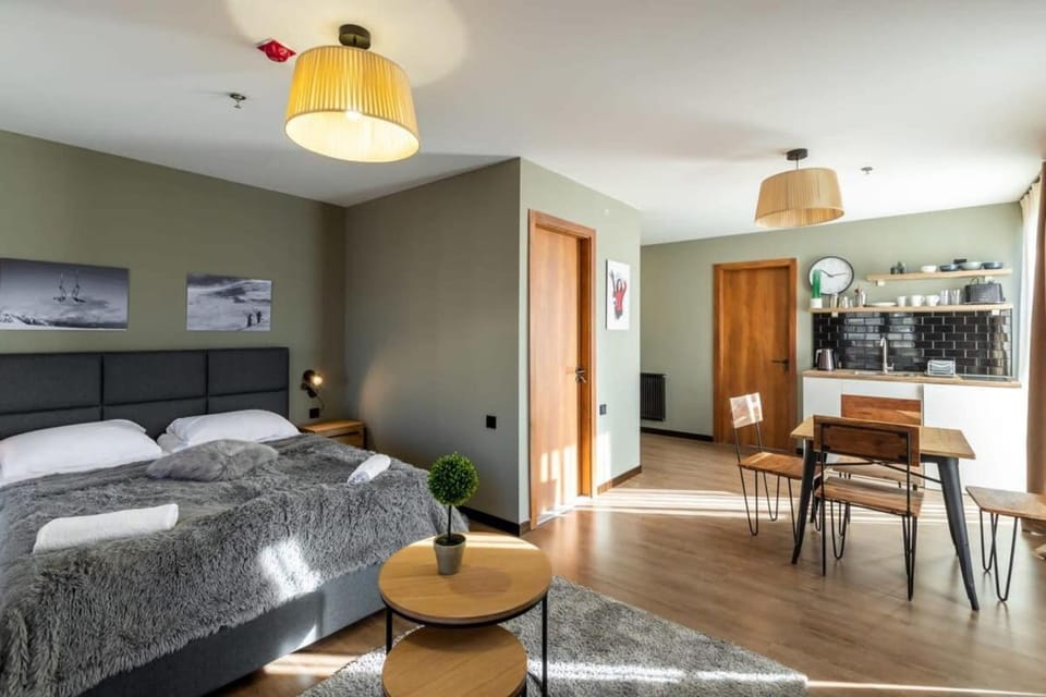 Super Stylish and cozy 2 bedroom 4or6 people Apartment in key location in Marshall Gudauri Project Ski Resort Apartment in Georgia