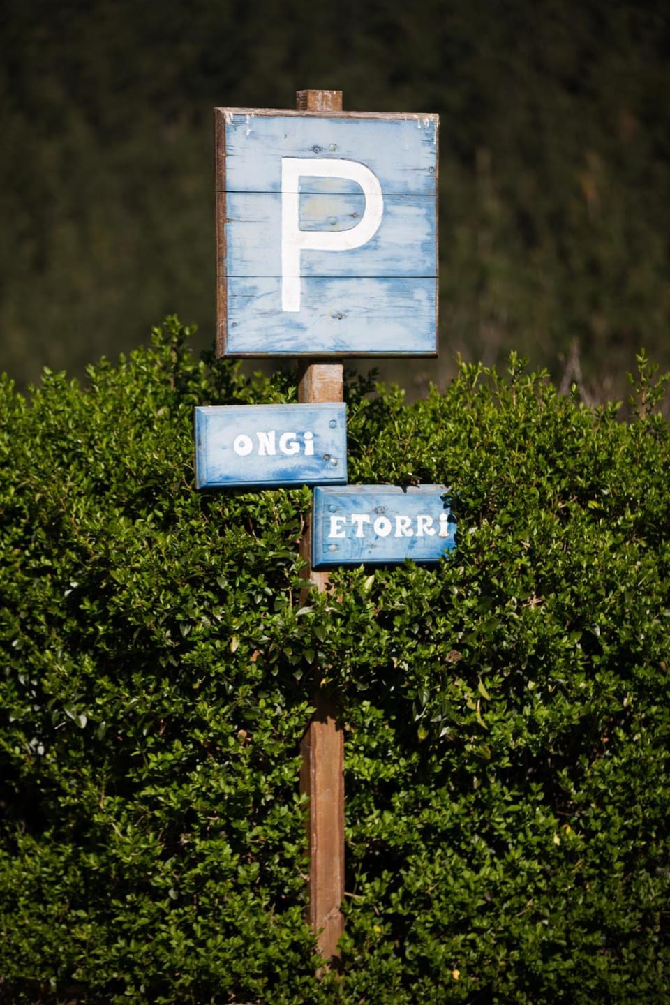 Property building, Property logo or sign, Other