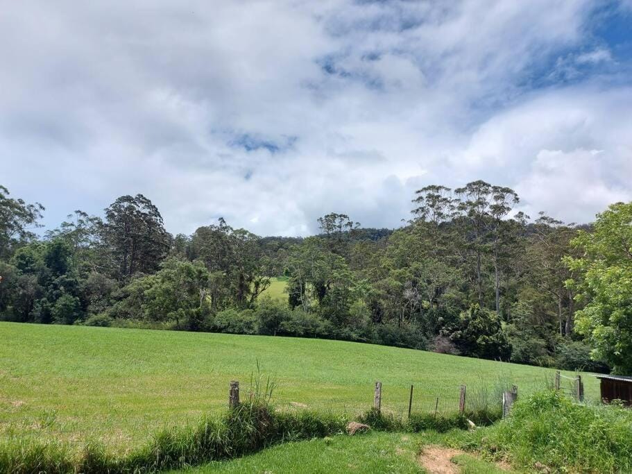 Natural landscape