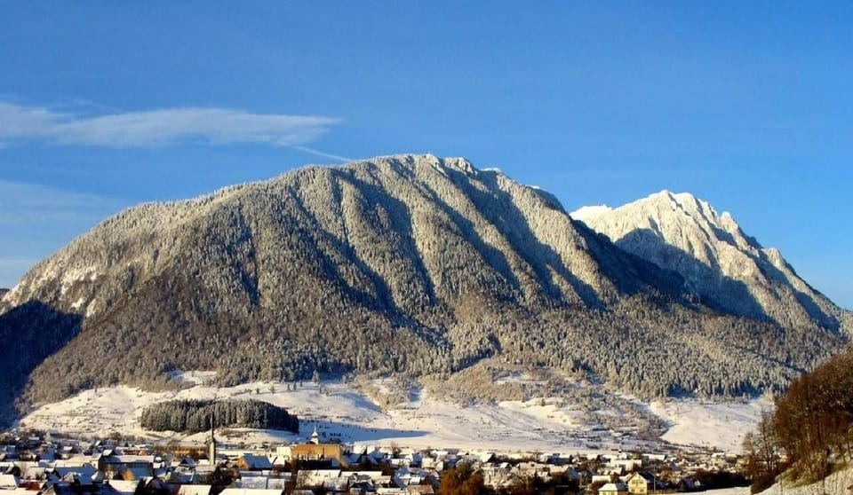 Natural landscape