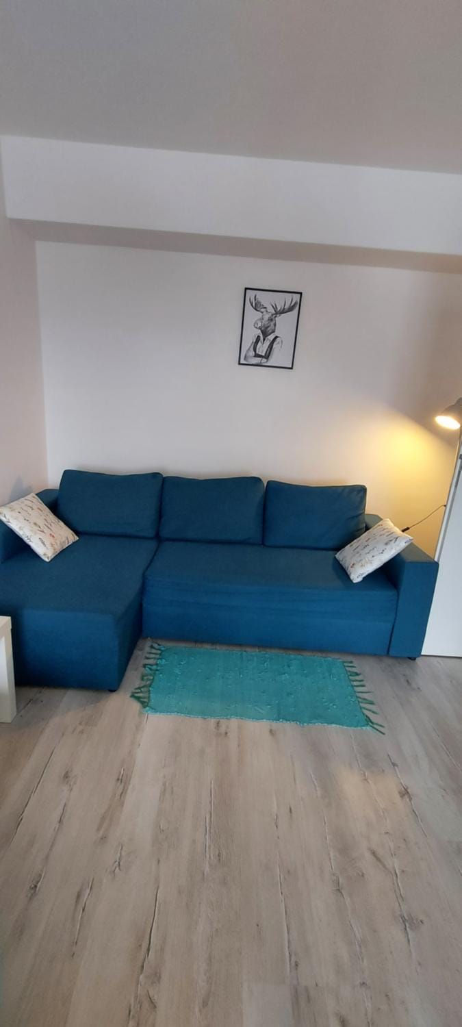 Panoramic Residence Apartment in Brașov County