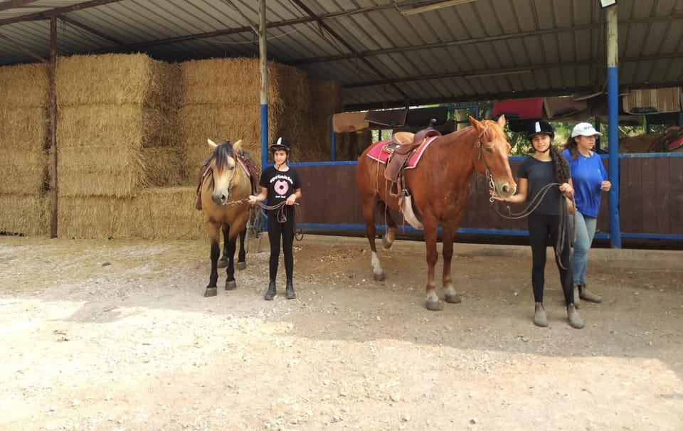 People, Horse-riding