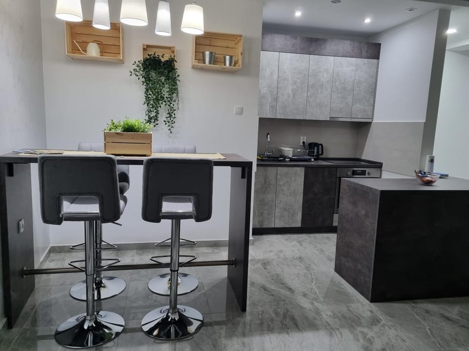 306 APARTMAN Apartment in Vojvodina