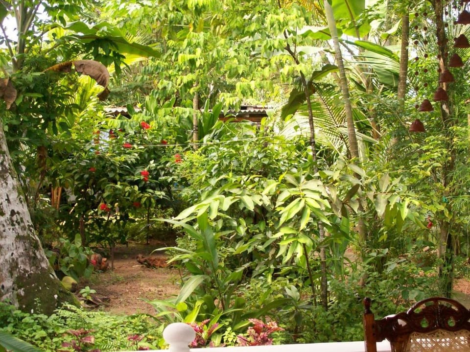 Suveniya Villa House in Hikkaduwa
