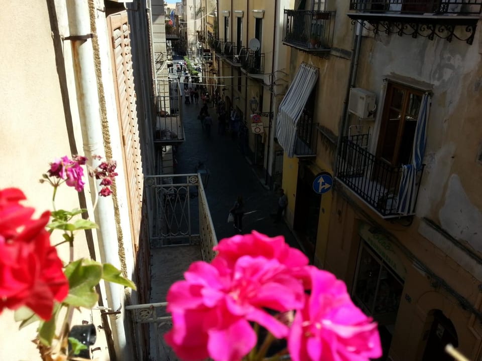 View (from property/room)