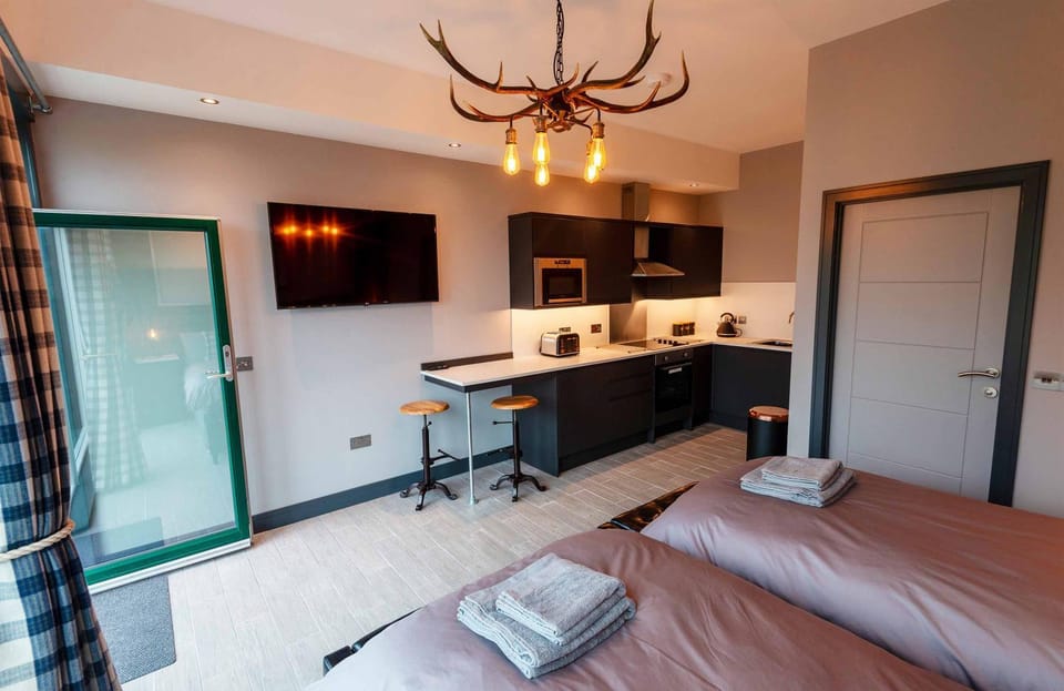 TV and multimedia, Coffee/tea facilities, Kitchen or kitchenette, Decorative detail, minibar, toaster, towels, kitchen