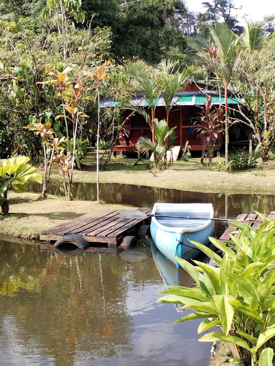 Day, Garden, Garden view, Lake view
