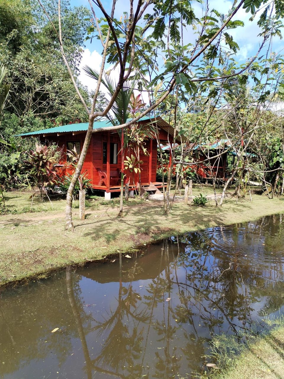 Day, Lake view