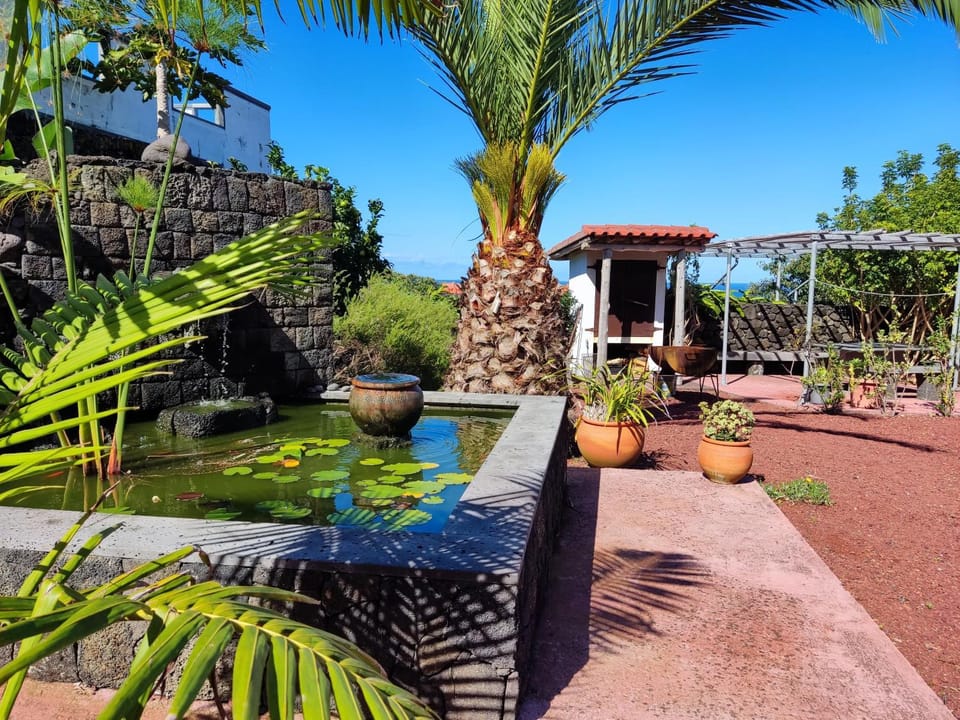 Patio, Garden