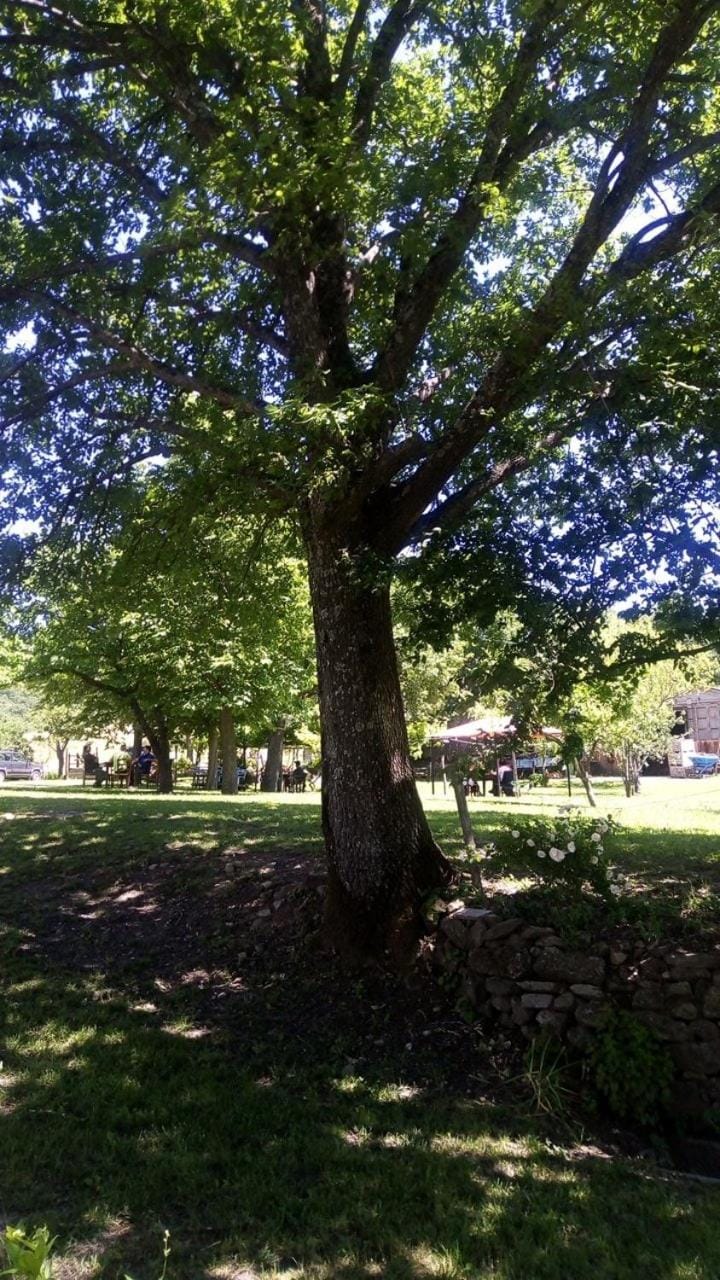 Garden, Garden