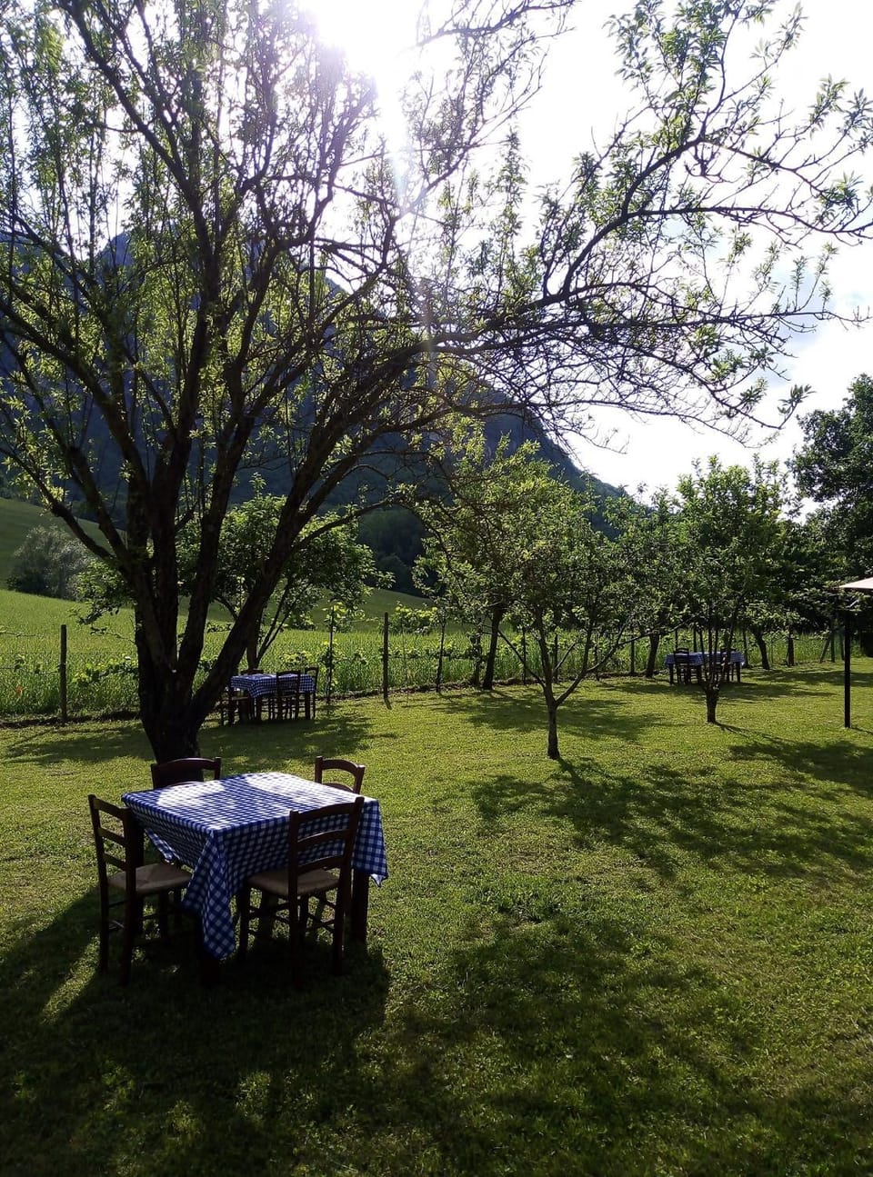 Garden, Garden