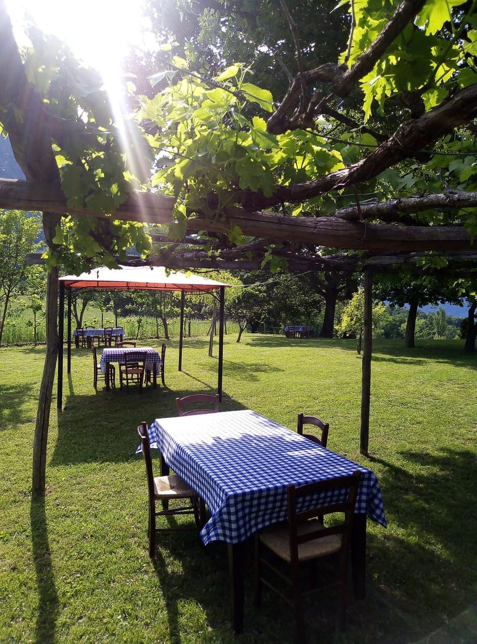 Garden, Garden