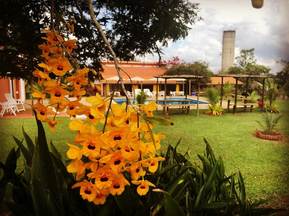 Pousada Estância Travessia Bed and Breakfast in State of São Paulo