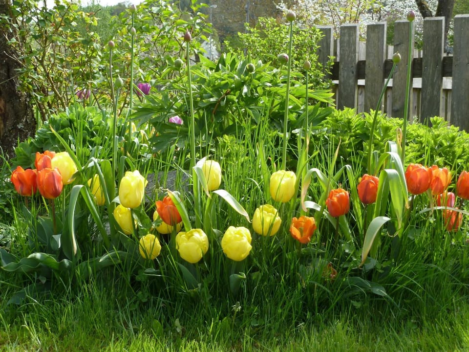 Spring