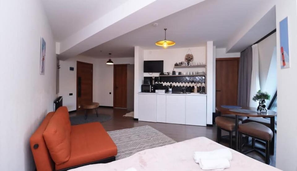 2 Room Apartment in Marshall Gudauri Project Apartment in Georgia