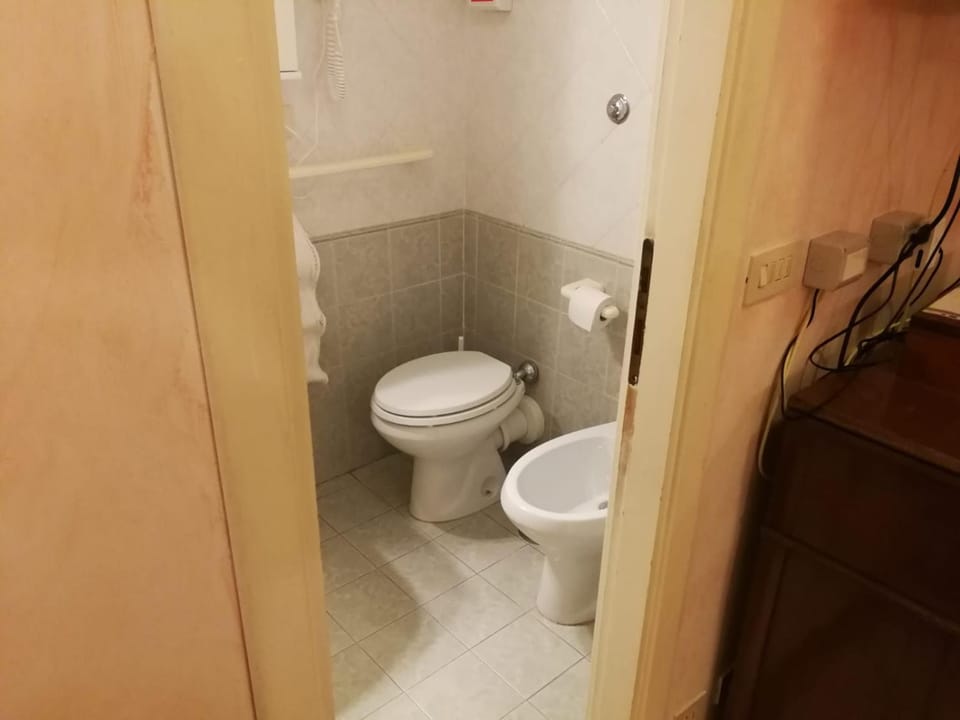 Toilet, Bathroom, bidet