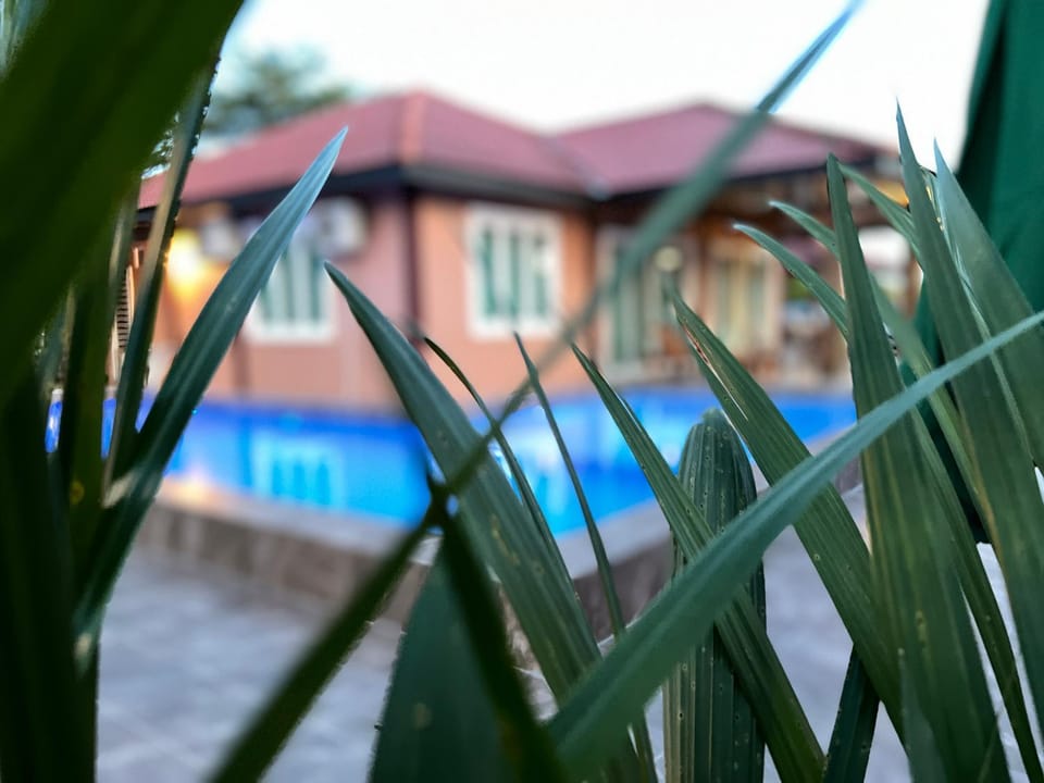 Property building, Day, Garden