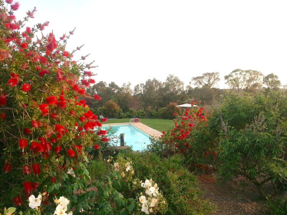 Property building, Garden view, Pool view