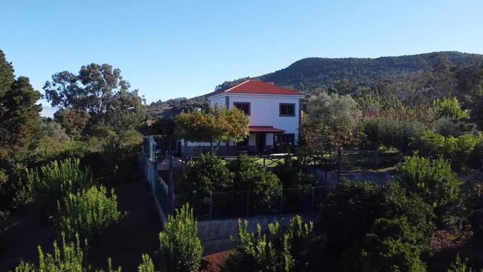 Property building, Bird's eye view