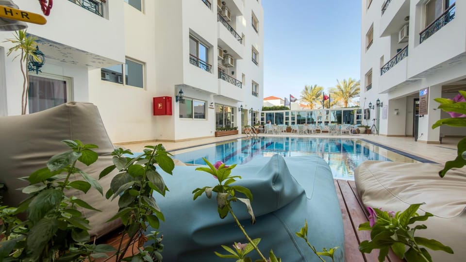 Day, Pool view, Swimming pool, sunbed