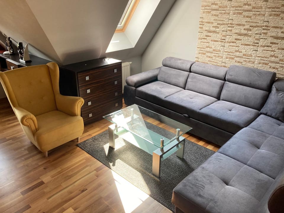 Apartament Platinum Apartment in Zakopane