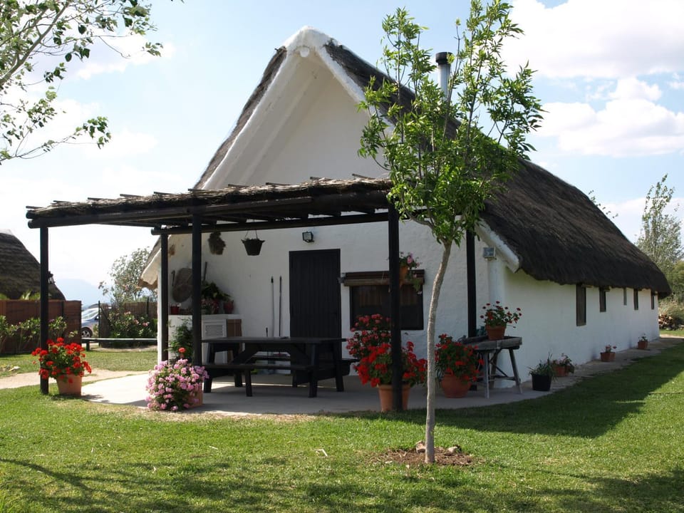 Barraca Gran House in Montsià