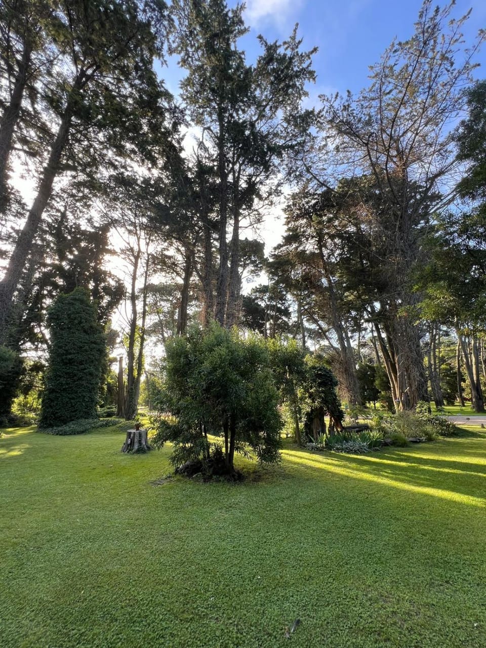 Spring, Natural landscape, Garden