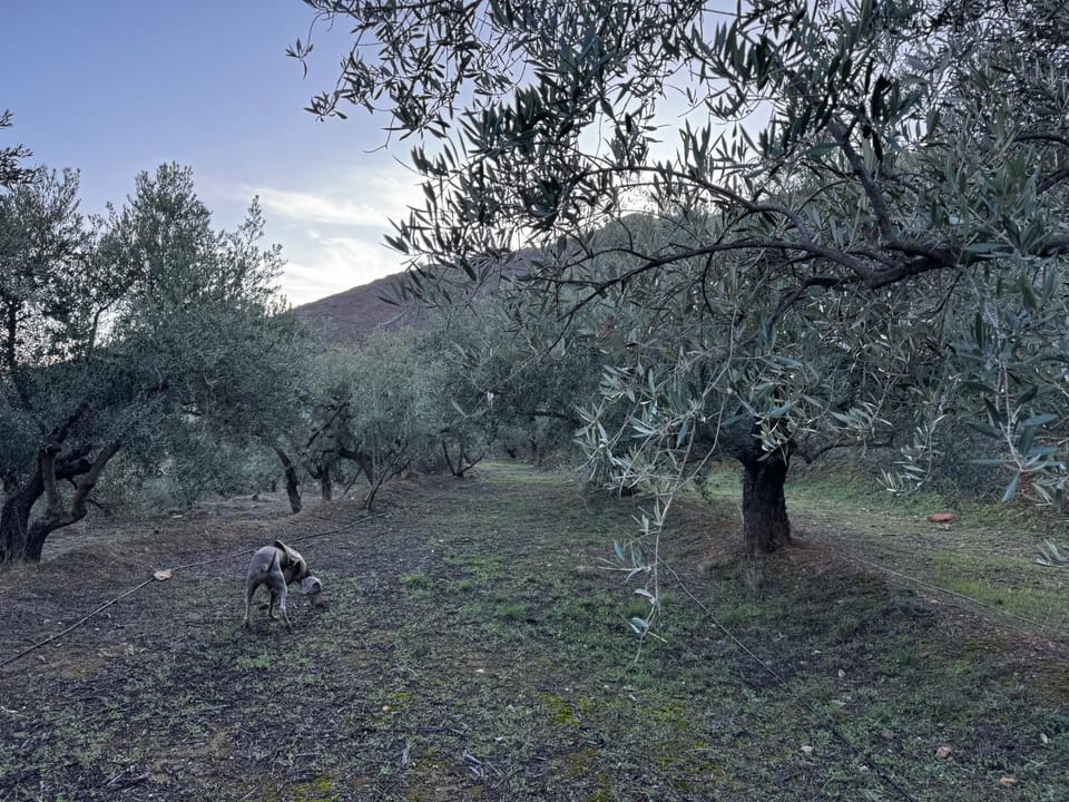 Natural landscape