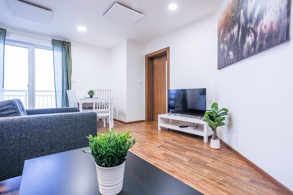 Apartmány Na Výhledech Apartment in Erzgebirgskreis