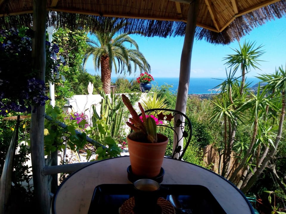 NOUVEAU ! Chambre d'Hôte Insolite PRIVEE " CŒURS DE PIRATES à BALI EN PROVENCE" SPA SAUNA MASSAGES dans cadre EXOTIQUE d'Aménagements EXTÉRIEURS D'EXCEPTION ÉTÉ comme HIVER BIENVENUE !!! Bed and Breakfast in Cavalaire-sur-Mer