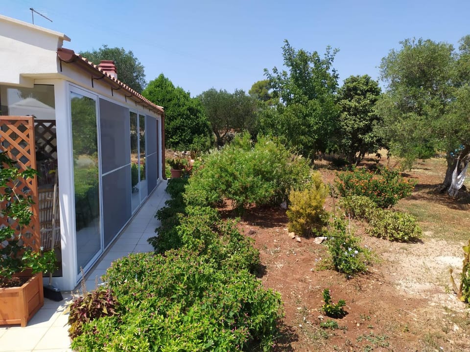 Garden, Garden view