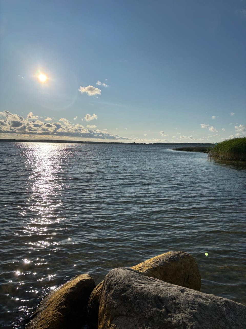 Lake view