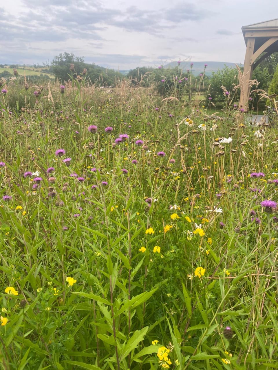 Woody's Retreat Campground/ 
RV Resort in Ribble Valley District