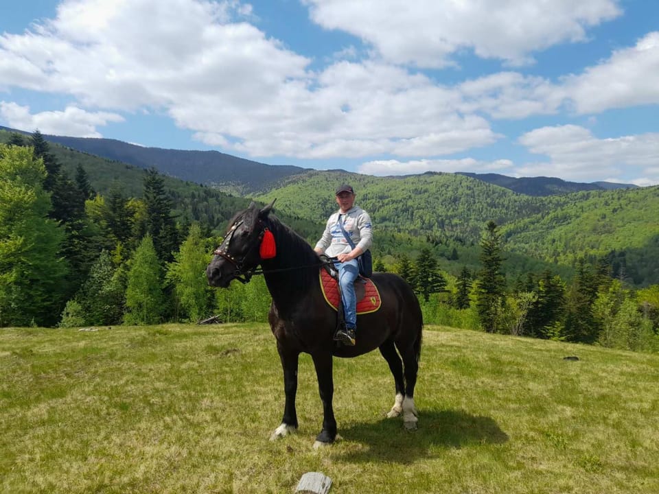 People, Natural landscape, Horse-riding, Horse-riding, group of guests
