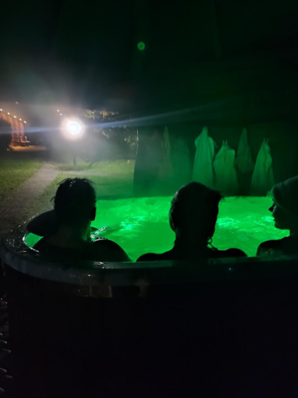 Night, People, Hot Tub, group of guests